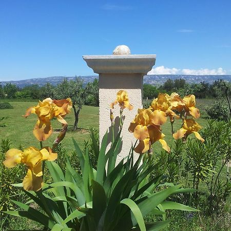 Lamanderie En Provence Bed and Breakfast Alleins Esterno foto