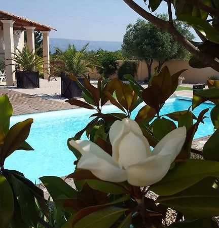 Lamanderie En Provence Bed and Breakfast Alleins Esterno foto