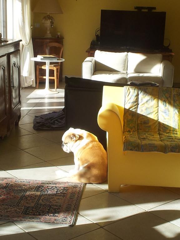 Lamanderie En Provence Bed and Breakfast Alleins Esterno foto