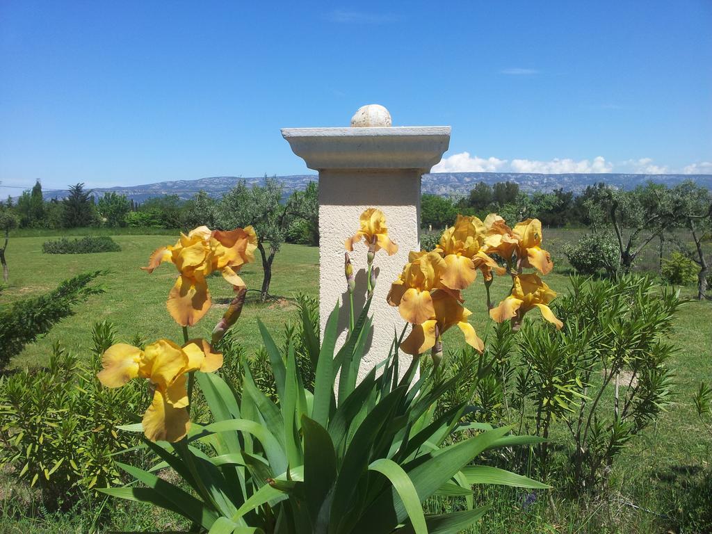 Lamanderie En Provence Bed and Breakfast Alleins Esterno foto